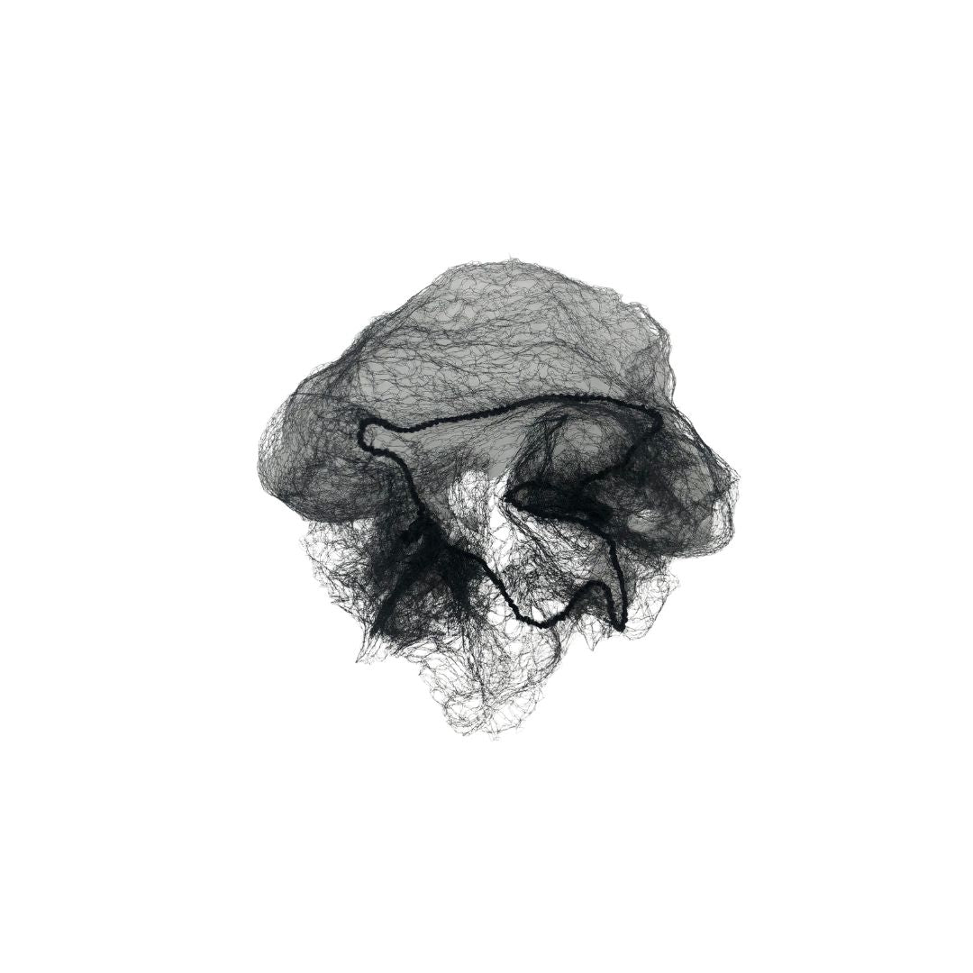 Hair Net