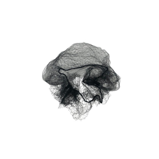 Hair Net